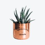 office furniture store product img 25.jpg